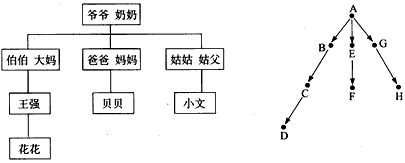 下图是贝贝家祖孙四代的情况.