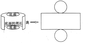 观察圆柱的侧面展开图回答问题圆柱的侧面展开后是一个它的长和宽分别